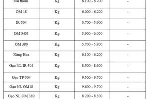 Giá lúa gạo hôm nay ngày 8/8: Gạo xuất khẩu tiếp đà tăng
