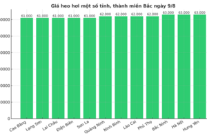 Giá heo hơi hôm nay ngày 9/8/2025: Tăng, giảm trái chiều giữa hai miền Nam - Bắc