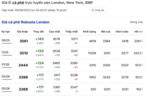 Giá cà phê hôm nay 9/8/2025: Thị trường trong nước tăng trở lại