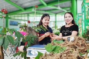 Dược liệu: Hướng mở sinh kế xanh cho dân tộc thiểu số miền núi