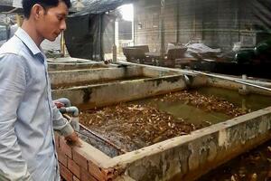 Cần Thơ: 9X khởi nghiệp thành công nhờ mô hình nuôi lươn không bùn