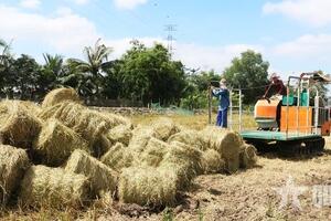 Chăn nuôi an toàn, tiết kiệm
