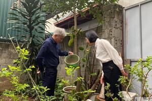 Việt Nam chưa ghi nhận ca bệnh Chikungunya nhưng nguy cơ cao