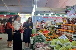 Mở rộng thị trường sản phẩm vùng cao bằng mô hình bán lẻ đa kênh