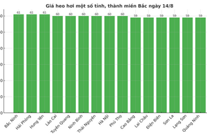 Giá heo hơi hôm nay ngày 14/8/2025: Lao dốc tại cả 3 miền