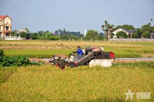 Nông nghiệp 80 năm xây dựng và phát triển cùng đất nước