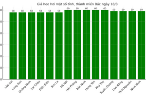 Giá heo hơi hôm nay 18/8/2025: Tiếp đà giảm