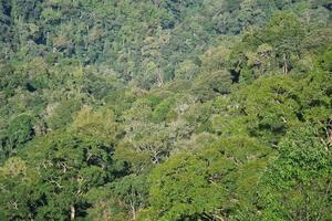 Chuỗi giá trị nông sản–chìa khóa nâng sinh kế đồng bào dân tộc Gia Lai