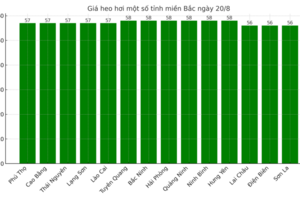 Giá heo hơi hôm nay 20/8/2025: Tiếp tục lao dốc