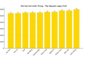 Giá heo hơi hôm nay 21/8/2025: Giảm trên toàn quốc