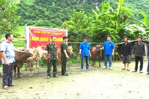 Giúp dân vươn lên xóa đói, giảm nghèo