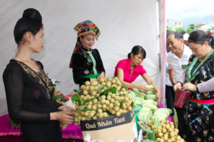 Sơn La tiếp tục mở rộng thị trường cho nông sản và thực phẩm an toàn