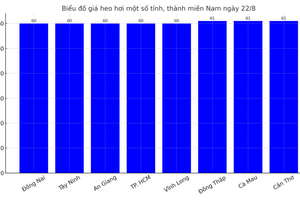 Giá heo hơi hôm nay 22/8/2025: Tiếp đà giảm