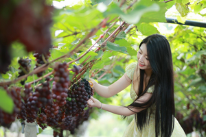 Mô hình du lịch trải nghiệm nông nghiệp mở đường giảm nghèo ở Vân Sơn