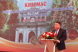 Phiên chợ nhãn lồng Hưng Yên 2025: Quảng bá đặc sản tiến vua tại Thủ đô