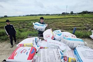 Nông dân Hà Tĩnh hối hả gặt lúa trước giờ bão đổ bộ