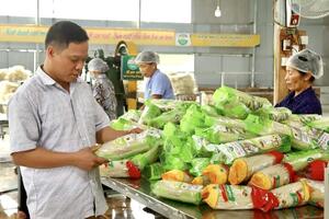 Phú Thọ: Thúc đẩy tiêu thụ nông sản, nâng tầm đặc sản địa phương