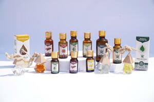 Vinasamex và hành trình đưa quế hồi Việt Nam vươn ra thế giới