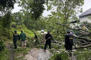 6 tỉnh Bắc Bộ và các tỉnh, thành phố từ Thanh Hóa đến Quảng Trị chủ động ứng phó với mưa lớn