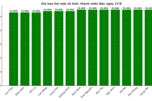 Giá heo hơi hôm nay 27/8/2025: Nhiều địa phương giảm mạnh