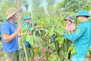 Đắk Lắk phát huy hào khí Cách mạng Tháng Tám, bứt phá trong kỷ nguyên mới