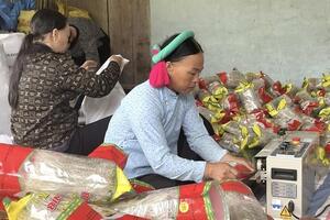 Quảng Ninh: Kích cầu tiêu thụ sản phẩm vùng dân tộc thiểu số theo hướng bền vững