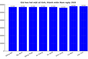 Giá heo hơi hôm nay 29/8/2025: Miền Bắc bất ngờ đảo chiều tăng
