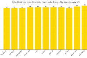 Giá heo hơi hôm nay 5/9/2025: Vọt tăng trên cả 3 miền