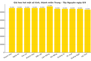Giá heo hơi hôm nay 8/9/2025: Cao nhất 59.000 đồng/kg