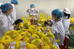 Chuẩn hóa bằng khoa học, nông sản miền núi chiếm lĩnh thị trường