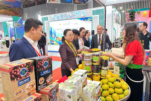 Sơn La: Nông sản được mùa, tiêu thụ thuận lợi trong mùa vụ 2025