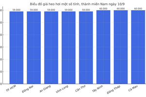 Giá heo hơi hôm nay 10/9/2025: Miền Bắc tăng đồng loạt