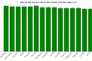 Giá heo hơi hôm nay 11/9/2025: Chững lại sau nhiều ngày tăng