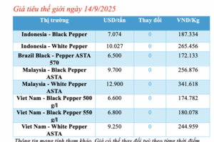Giá tiêu hôm nay 14/9/2025: Thị trường đứng im