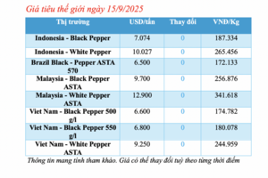 Giá tiêu hôm nay 15/9/2025: Duy trì ổn định