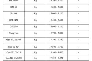 Giá lúa gạo hôm nay ngày 14/9 và tuần qua biến động mạnh
