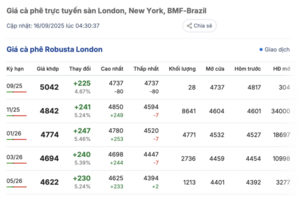 Giá cà phê hôm nay 16/9/2025: Trong nước đồng loạt giảm
