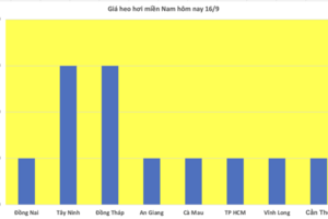 Giá heo hơi hôm nay 16/9/2025: Giảm tại nhiều vùng