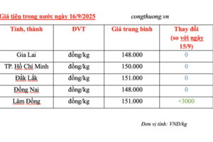 Giá tiêu hôm nay 16/9/2025: Lâm Đồng bật tăng 3.000 đồng/kg