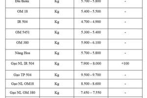 Giá lúa gạo hôm nay ngày 16/9: Gạo xuất khẩu tăng, lúa chững giá