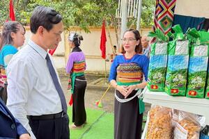 Chè Tán Ma: Sản phẩm thoát nghèo của đồng bào vùng dân tộc Thanh Hoá