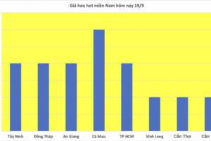 Giá heo hơi hôm nay 19/9/2025: Giảm nhẹ ở miền Bắc và miền Nam