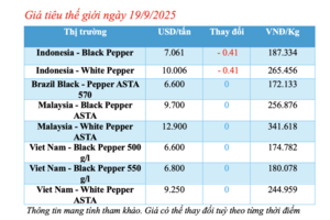 Giá tiêu hôm nay 19/9/2025: Thấp nhất lại Gia Lai, Đồng Nai