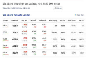 Giá cà phê hôm nay 20/9/2025: Trong nước đi ngang