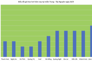 Giá heo hơi hôm nay 20/9/2025: Đi ngang trên cả 3 miền