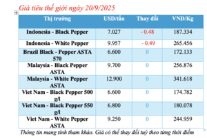 Giá tiêu hôm nay 20/9/2025: Trong nước tiếp tục đi ngang