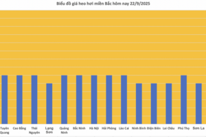 Giá heo hơi hôm nay 22/9/2025: Thị trường bình ổn trên cả 3 miền