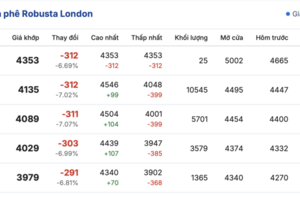 Giá cà phê hôm nay 21/9/2025: Bất ngờ giảm sâu