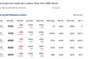 Giá cà phê hôm nay 22/9/2025: Trong nước trên đà giảm sâu