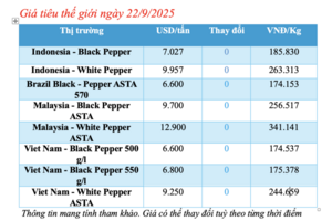 Giá tiêu hôm nay 22/9/2025: Thị trường trầm lắng